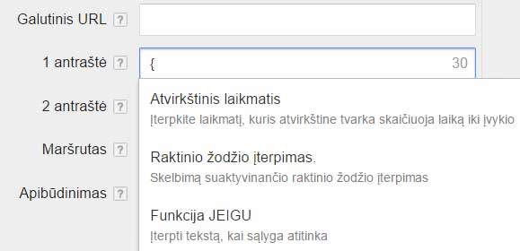 Google adwords paieškos skelbimų galimybės