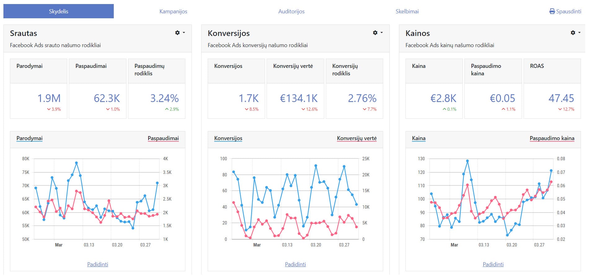 Facebook Ads reklamos ataskaita