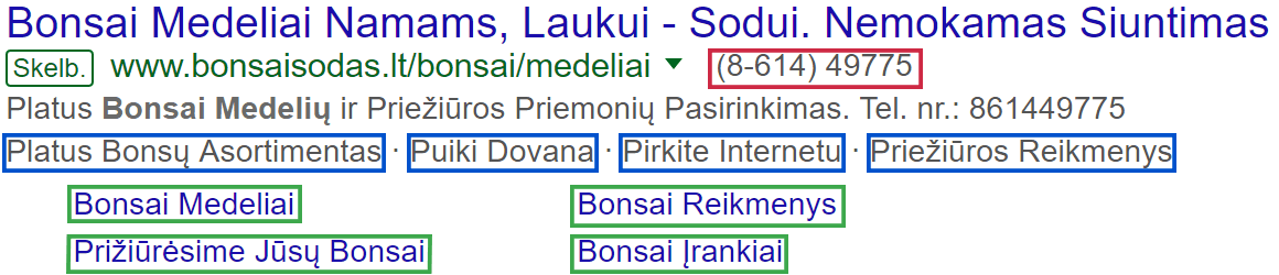 Google AdWords paieškos sistemos mokamų reklamos skelbimų plėtiniai